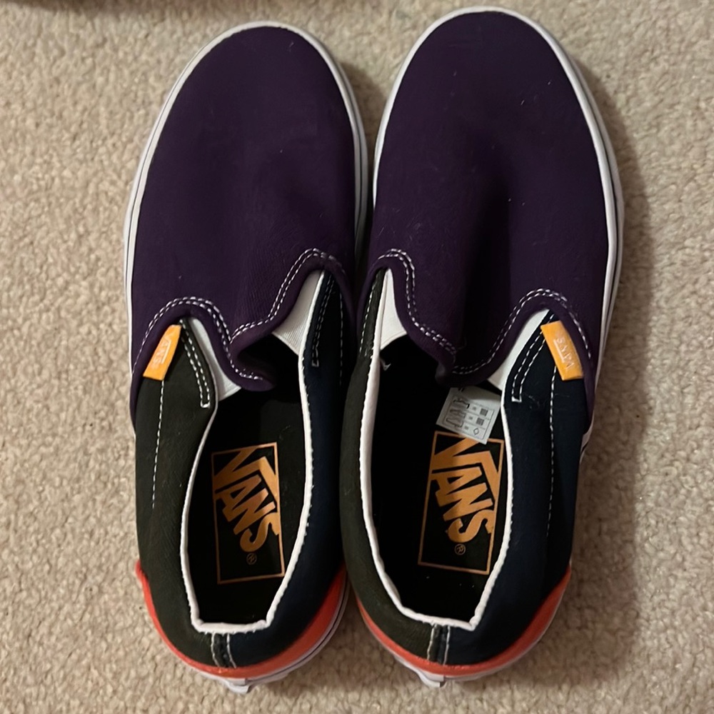 Multicolor Slip On Vans